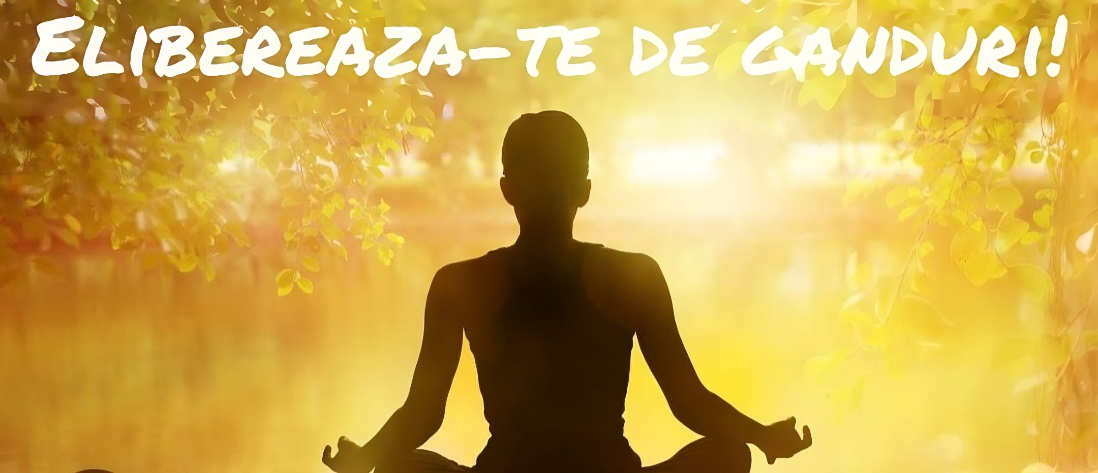 photo_2023-07-27_14-08-52-transformed